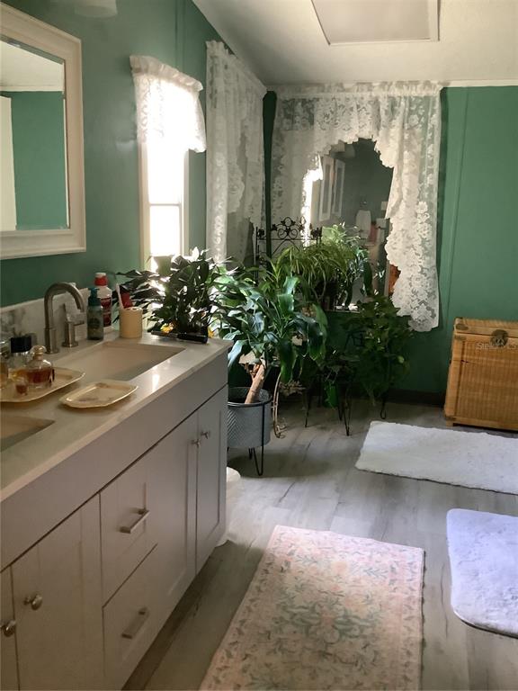 34926 Punch Road Dade City, FL 33523 - Photo 63 of 75 a bathroom with a sink and a mirror