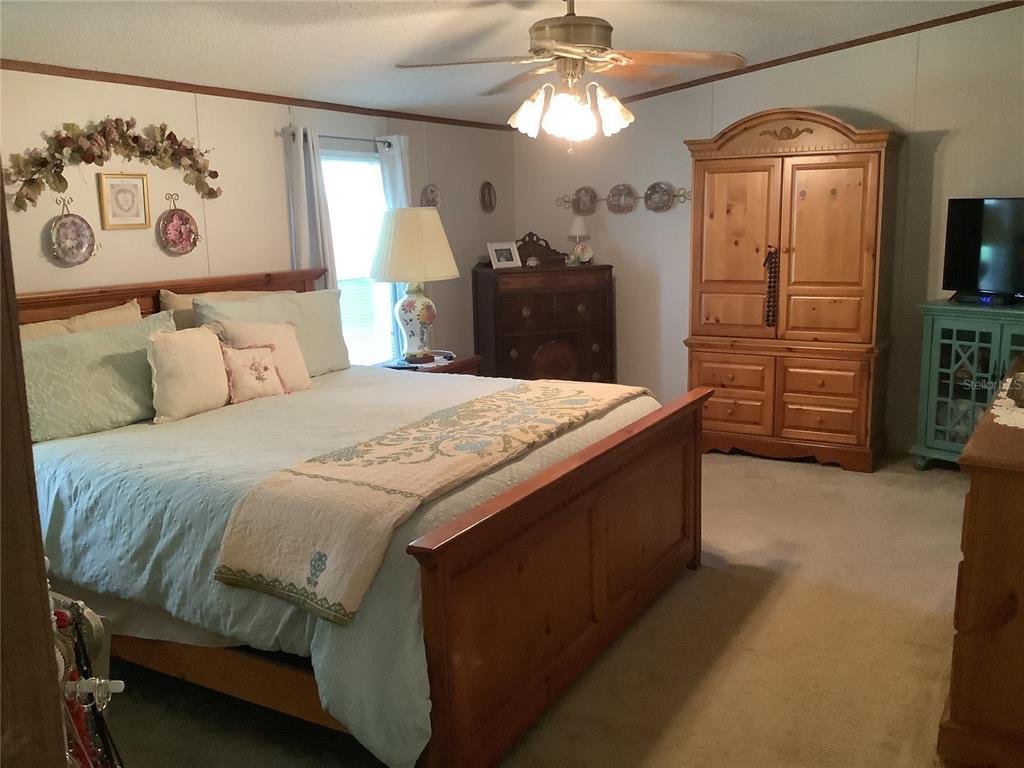 34926 Punch Road Dade City, FL 33523 - Photo 66 of 75 a bedroom with a bed and a mirror