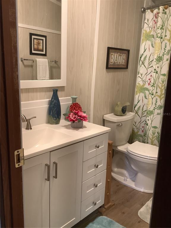 34926 Punch Road Dade City, FL 33523 - Photo 67 of 75 a bathroom with a sink and a toilet