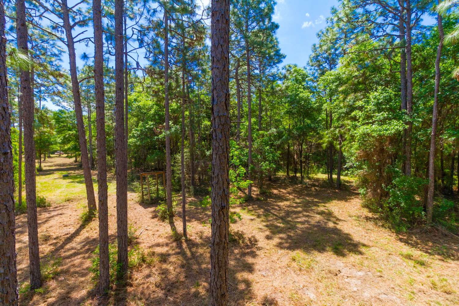 8844 Red Fish Pt Road Lillian, AL 36549 - Photo 8 of 16