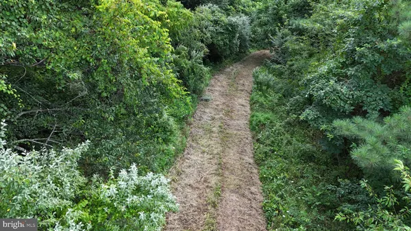 a view of a pathway both side of yard