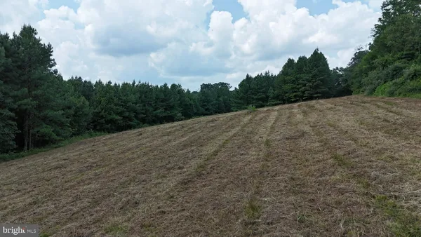 a view of a dry yard with trees in the background
