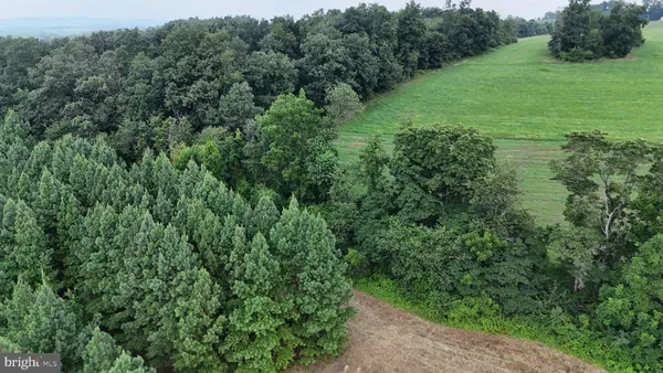 an aerial view of green landscape with trees houses and trees