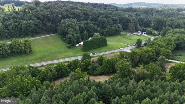 a view of a forest with a street