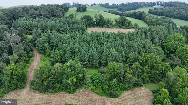 a view of a dirt road with trees in the background