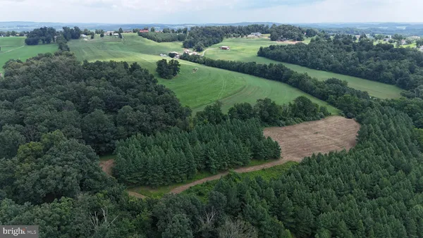 an aerial view of green landscape with trees houses and mountain view