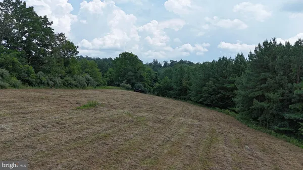 a view of a dry yard with trees in the background