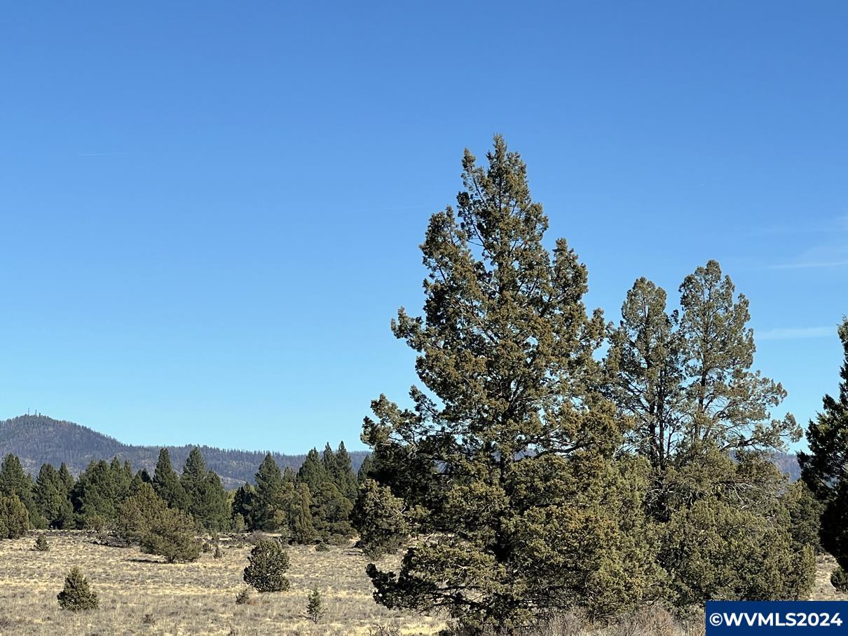 600 Oregon Pines Road Chiloquin, OR 97624 - Photo 19 of 49