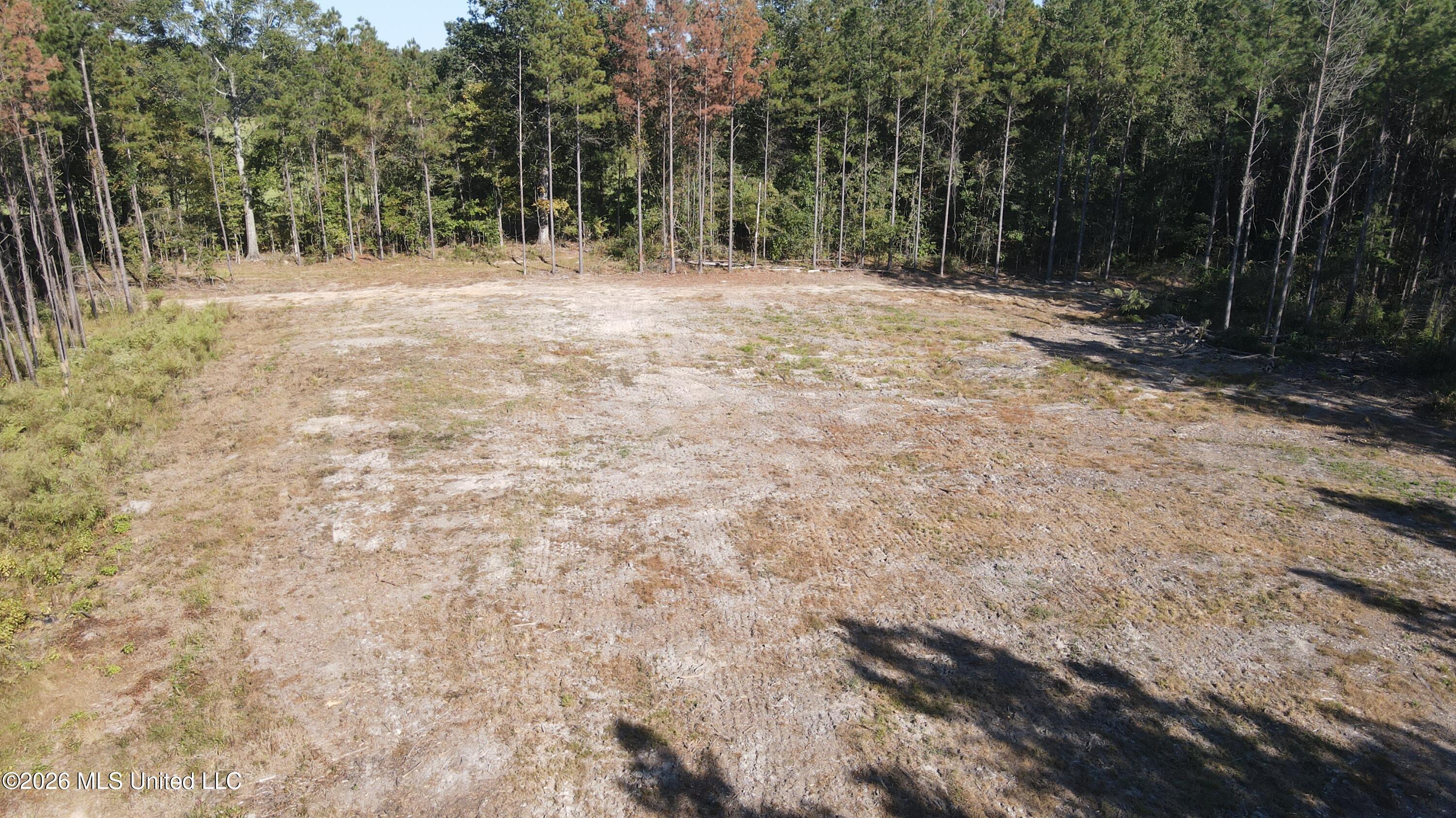 Loyd Irby Road Pelahatchie, MS 39145 - Photo 11 of 30 DJI_0229