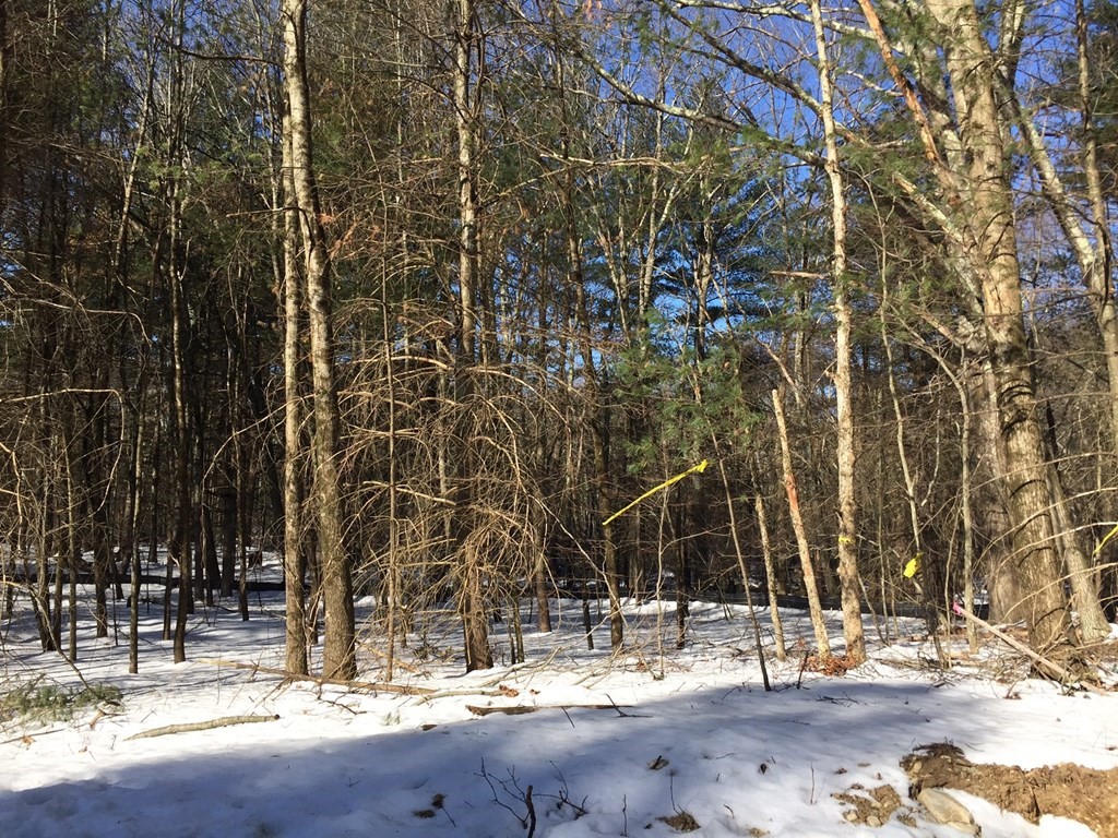 Lot C Merriam Road Grafton, MA 01519 - Photo 5 of 6 a building with trees in front of it