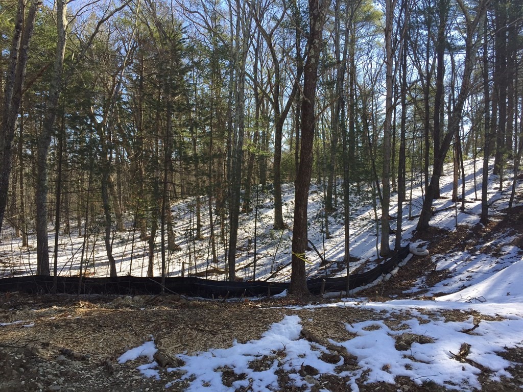 Lot C Merriam Road Grafton, MA 01519 - Photo 6 of 6 a big yard with lake view and trees