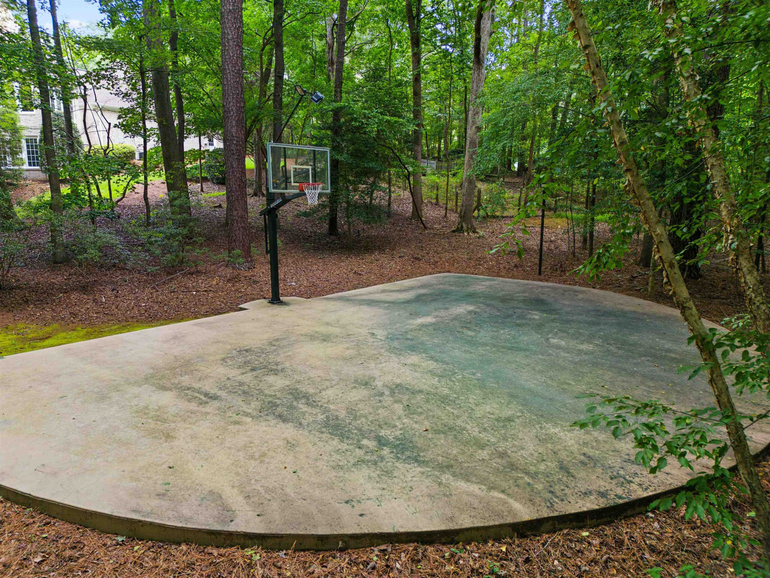 5120 Birchleaf Drive Raleigh, NC 27606 - Photo 12 of 57 Private basketball court