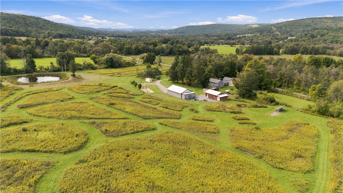 3310 County Road Alpine, NY 14805 - Photo 40 of 48 Gallery Image 40