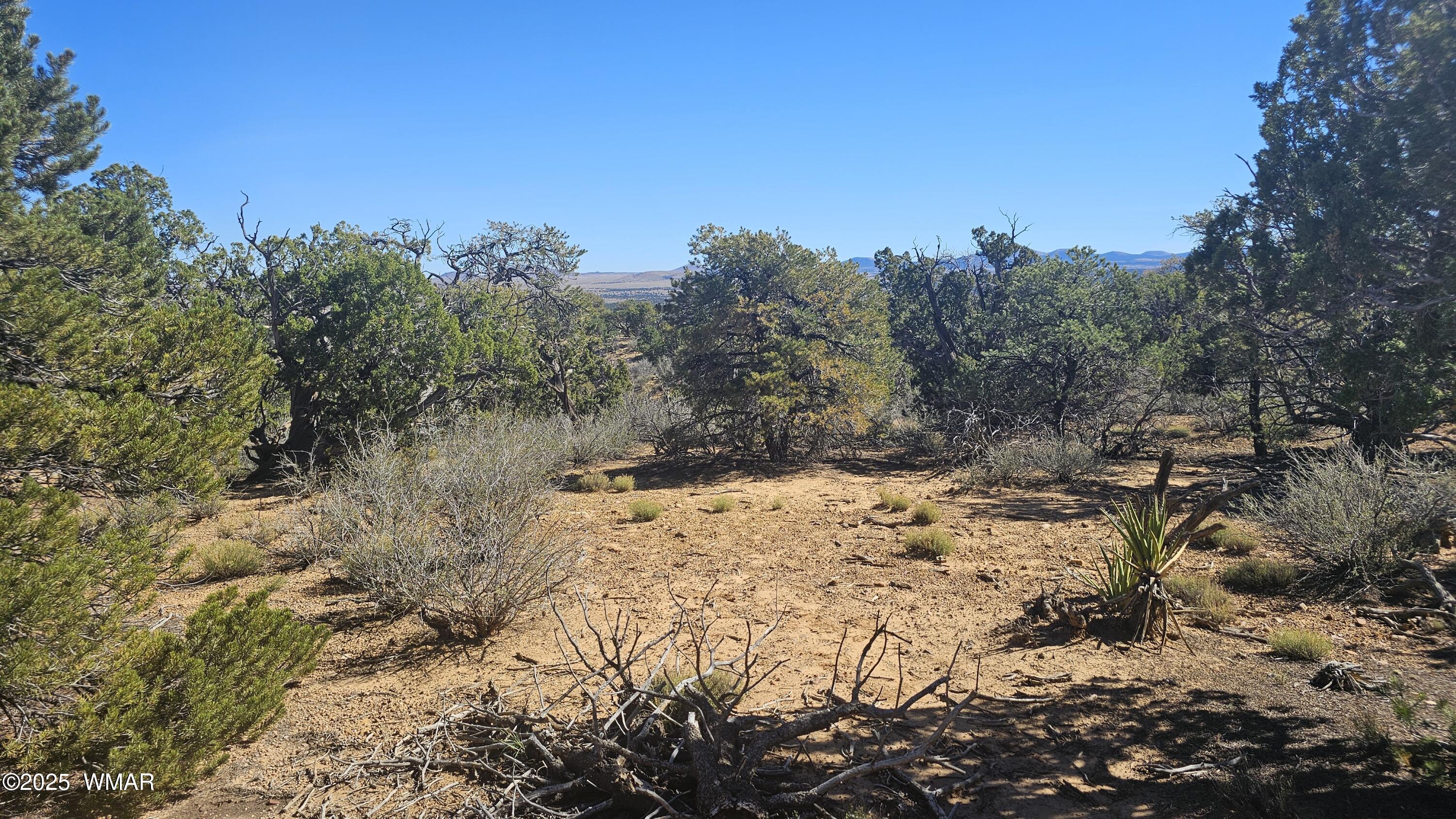 4 County Road Concho, AZ 85924 - Photo 21 of 28