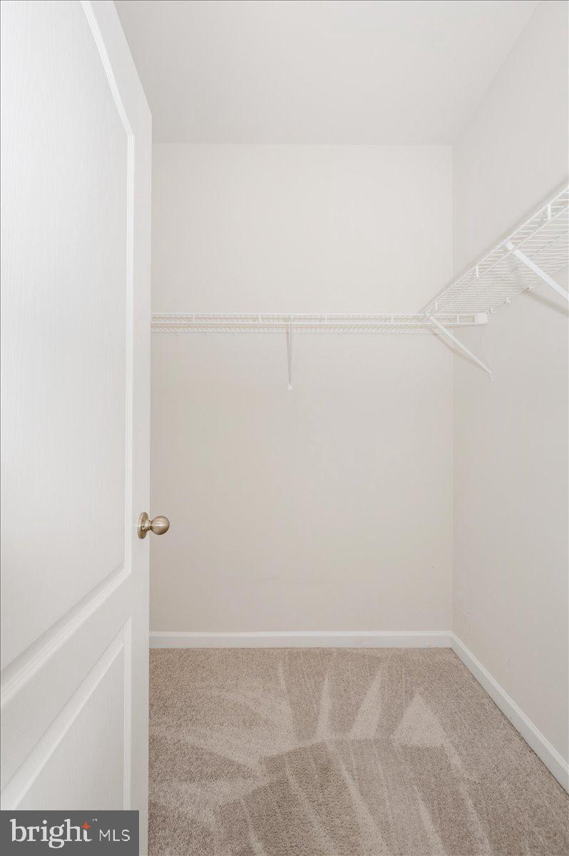 324 Spring Bank Way Frederick, MD 21701 - Photo 27 of 50 Walk-In Closet