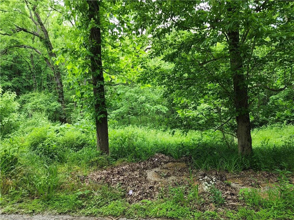 0 North Rock Run Church Road Rosedale, IN 47874 - Photo 3 of 4