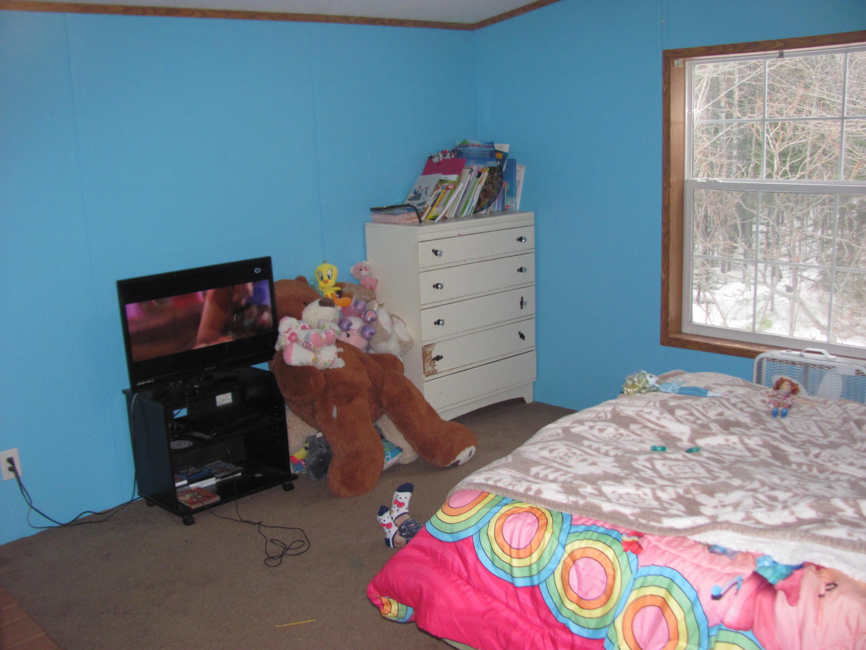 156 Bert Gray Road Sullivan, ME 04664 - Photo 14 of 27 Sulllivan BertGray 016