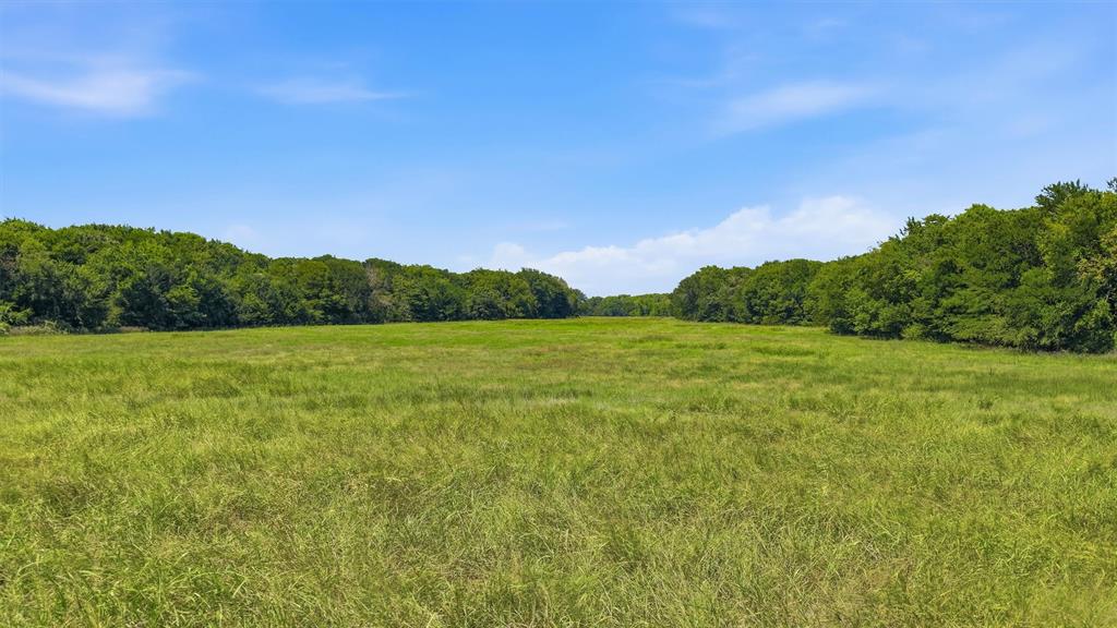 0 Oak Ridge Road Denison, TX 75021 - Photo 25 of 31 Gallery Image 25