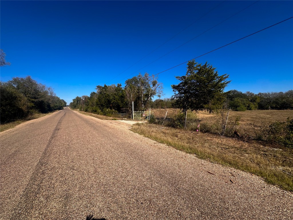 Lot 9 Foothill Road Bastrop, TX 78602 - Photo 2 of 12 a view of a rural road with plants