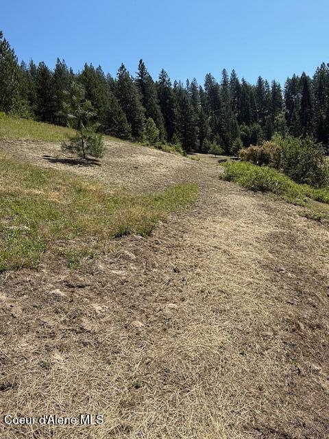 6855 B Cemetery Road Bonners Ferry, ID 83805 - Photo 14 of 24 C2 (9)