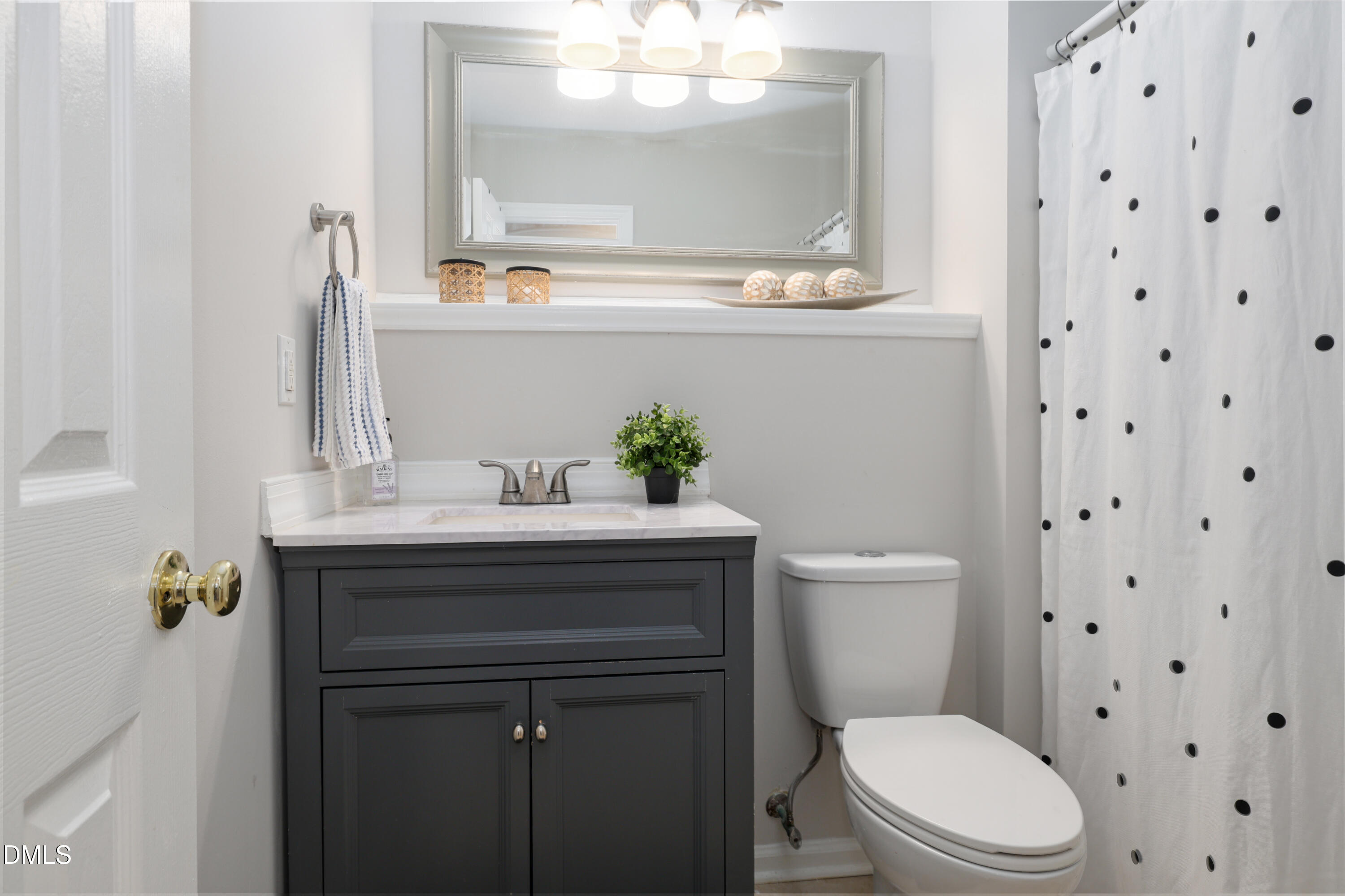 3011 Elk Ridge Road Durham, NC 27712 - Photo 48 of 68 a bathroom with a sink a toilet and mirror