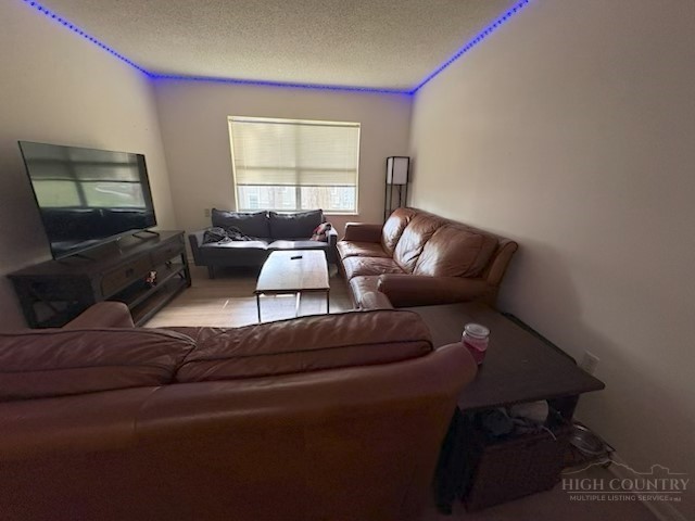 229 East King Street, Unit 31 Boone, NC 28607 - Photo 16 of 26 a living room with furniture and a flat screen tv