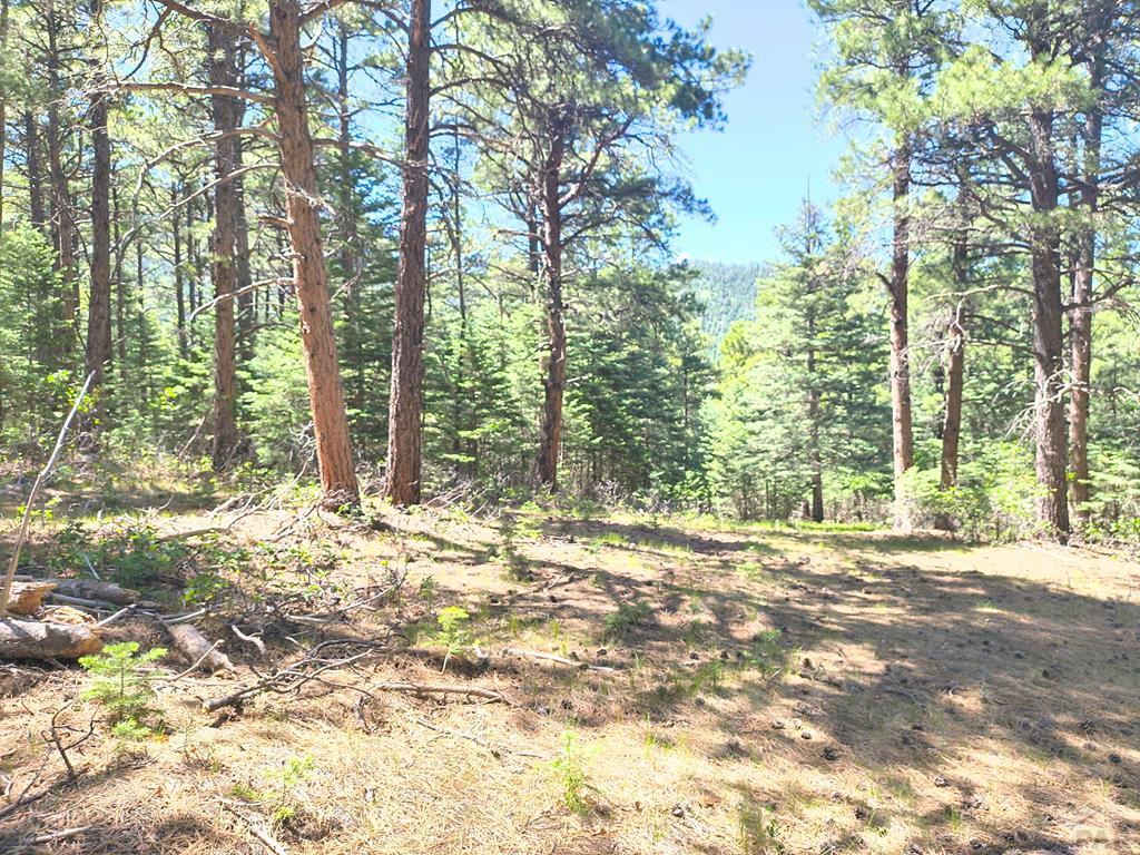 10940 Bartlett Trail Rye, CO 81069 - Photo 11 of 17