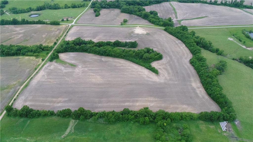 Cotton Road Purdin, MO 64674 - Photo 2 of 14