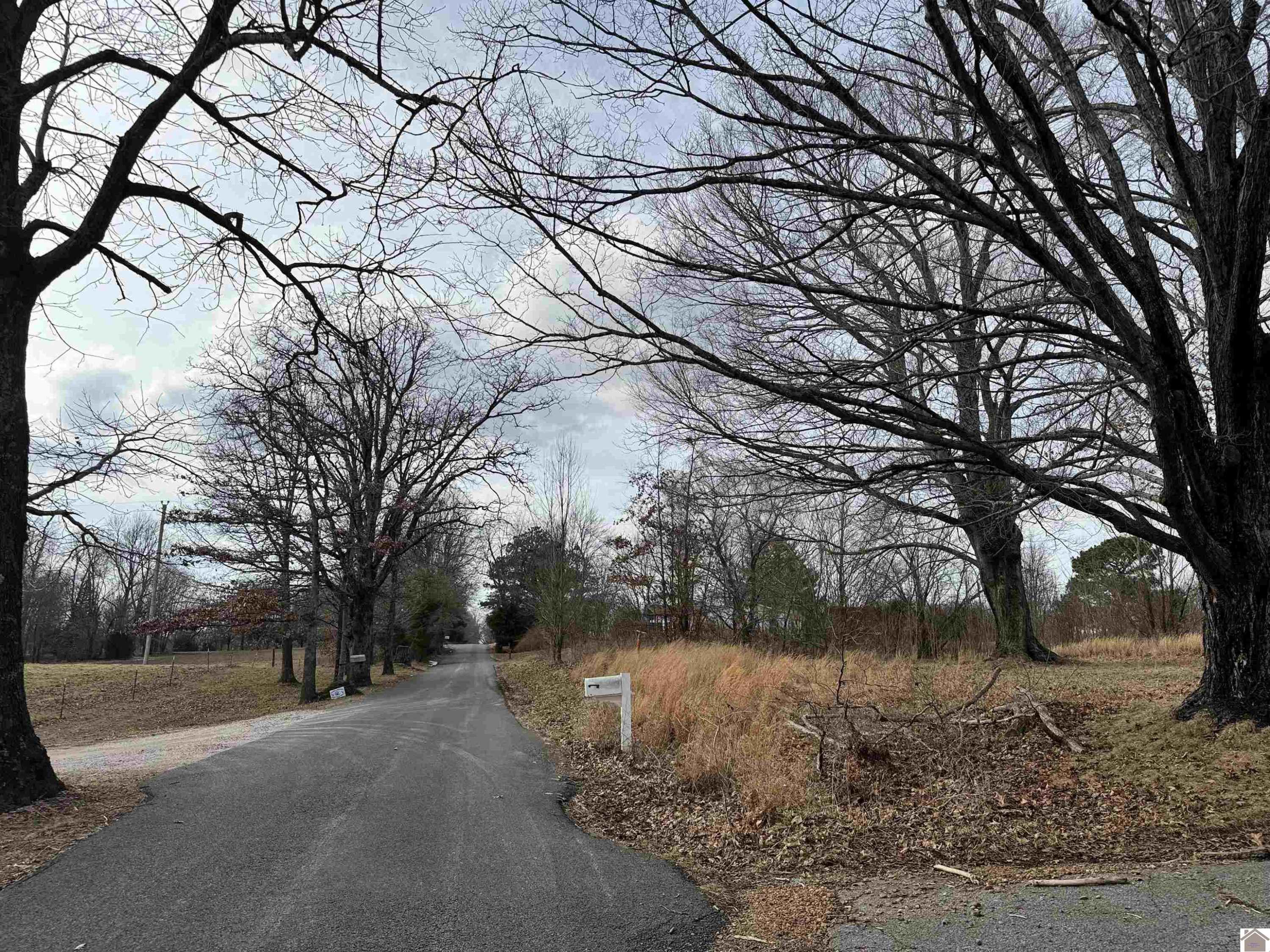 368 Gilbert Road Mayfield, KY 42066 - Photo 38 of 39 Photo 38