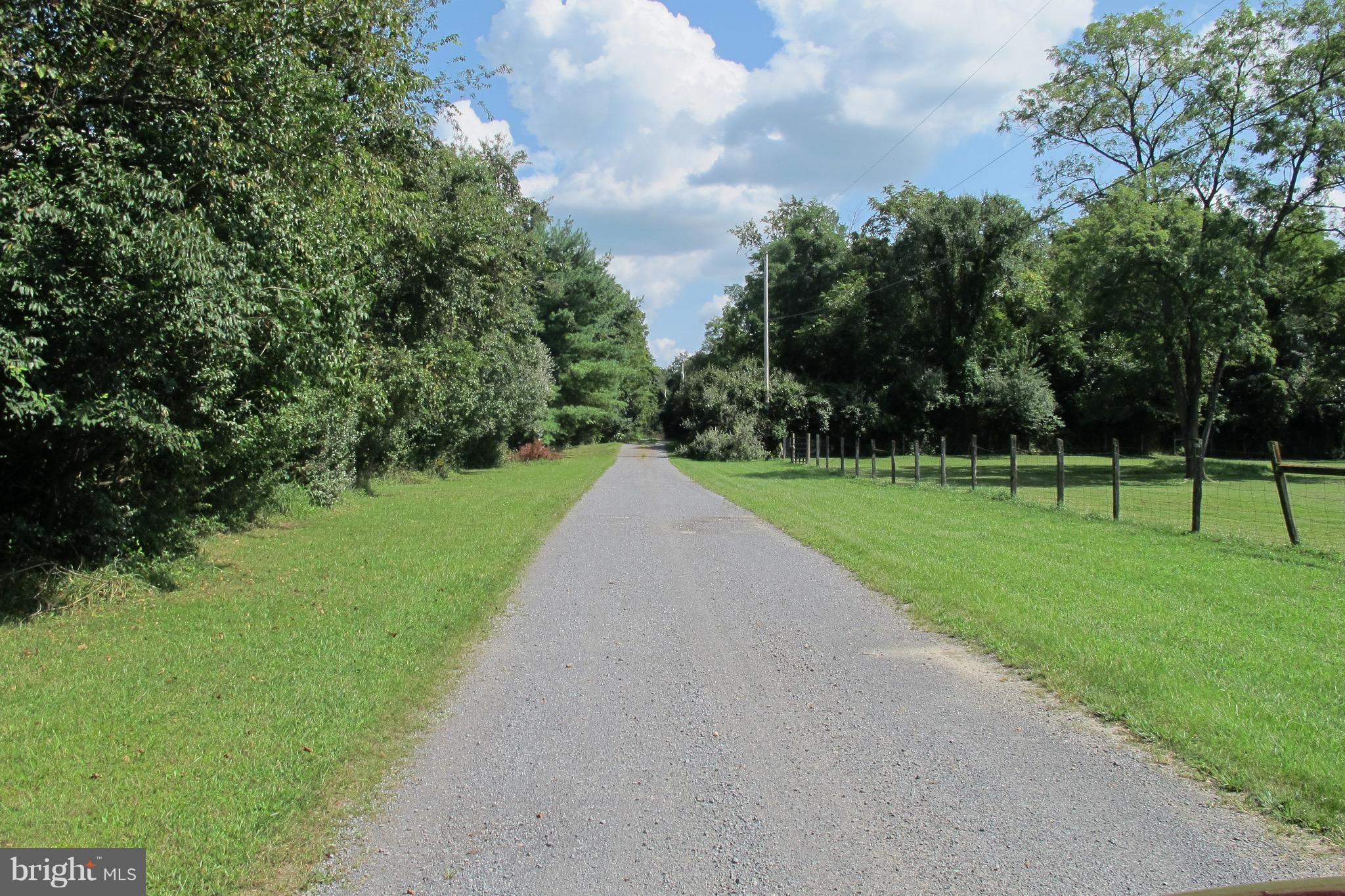 Triple J Road Berryville, VA 22611 - Photo 5 of 8 View of road into the property