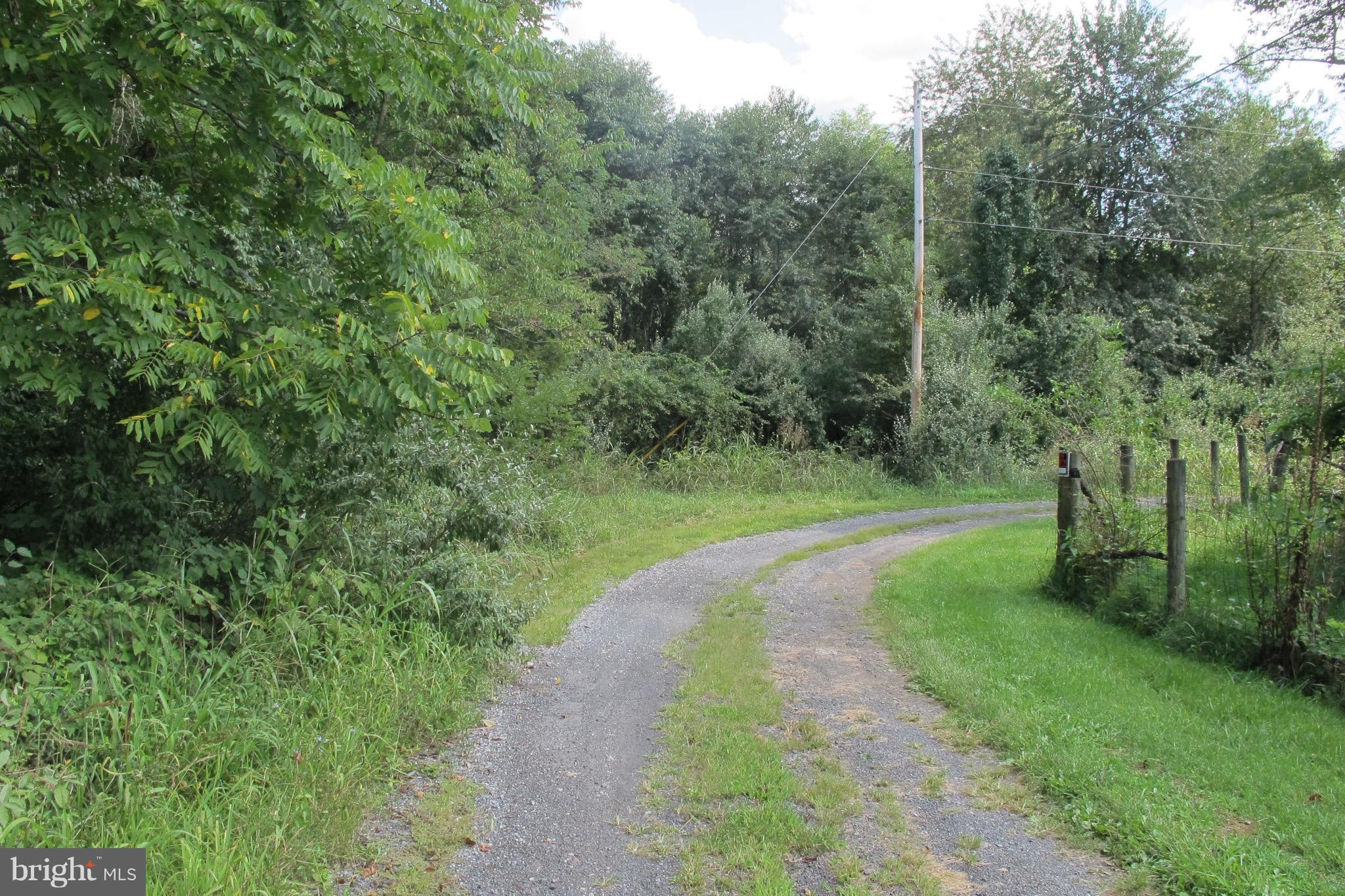 Triple J Road Berryville, VA 22611 - Photo 6 of 8 View of road into the property