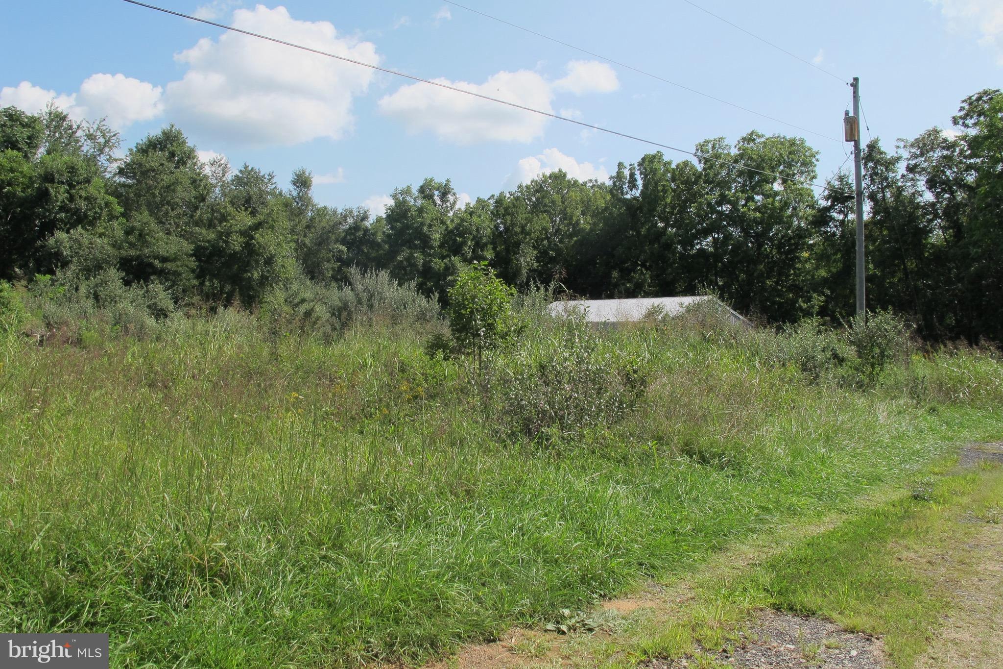 Triple J Road Berryville, VA 22611 - Photo 7 of 8 View of Lot