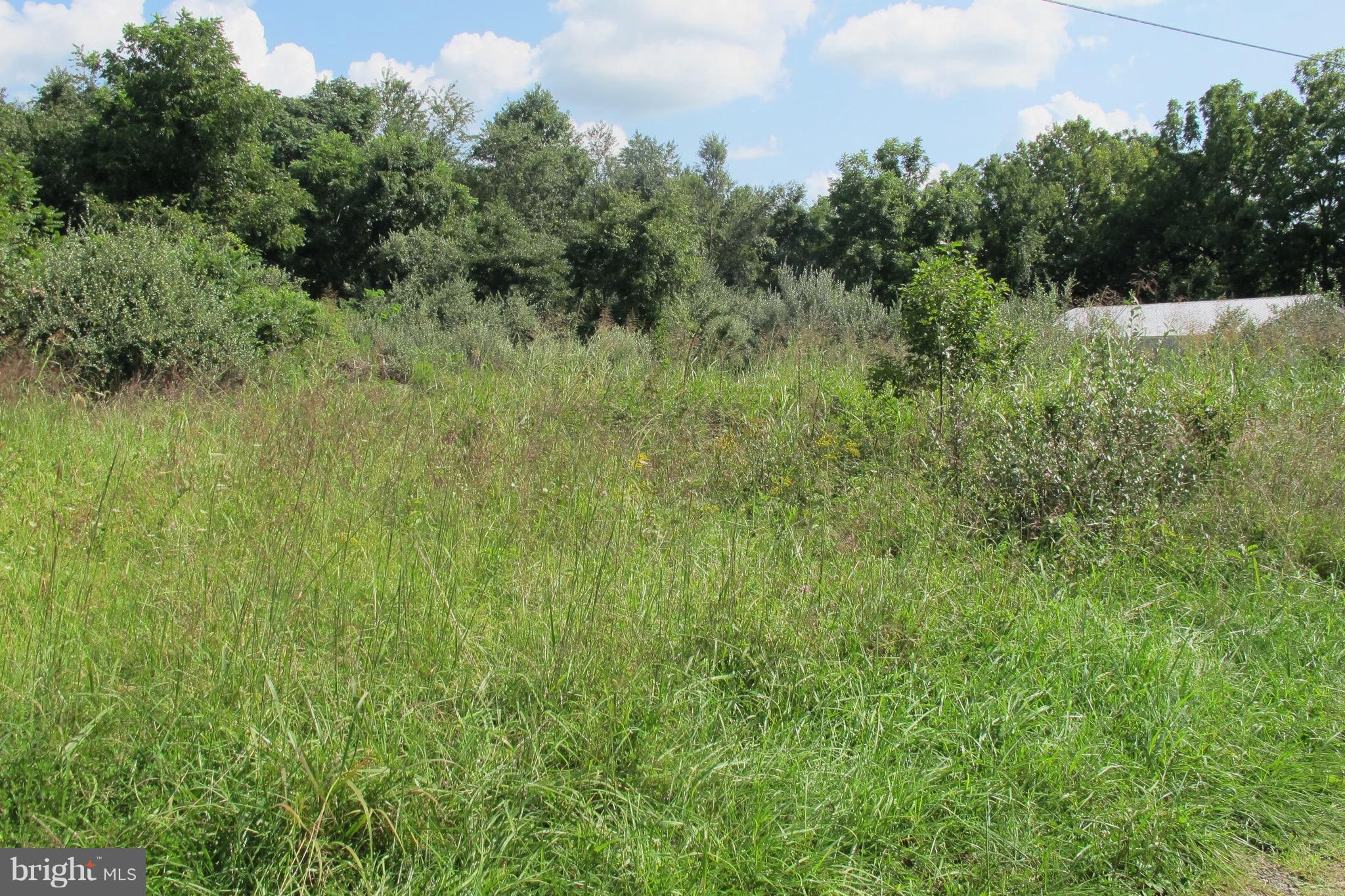 Triple J Road Berryville, VA 22611 - Photo 8 of 8 View of Lot