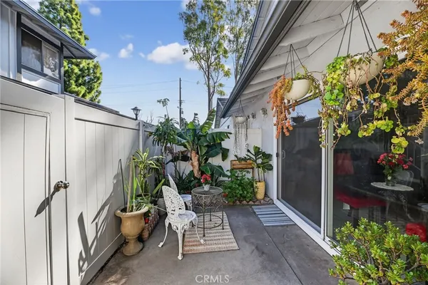 a view of a potted plants on a sidewalk