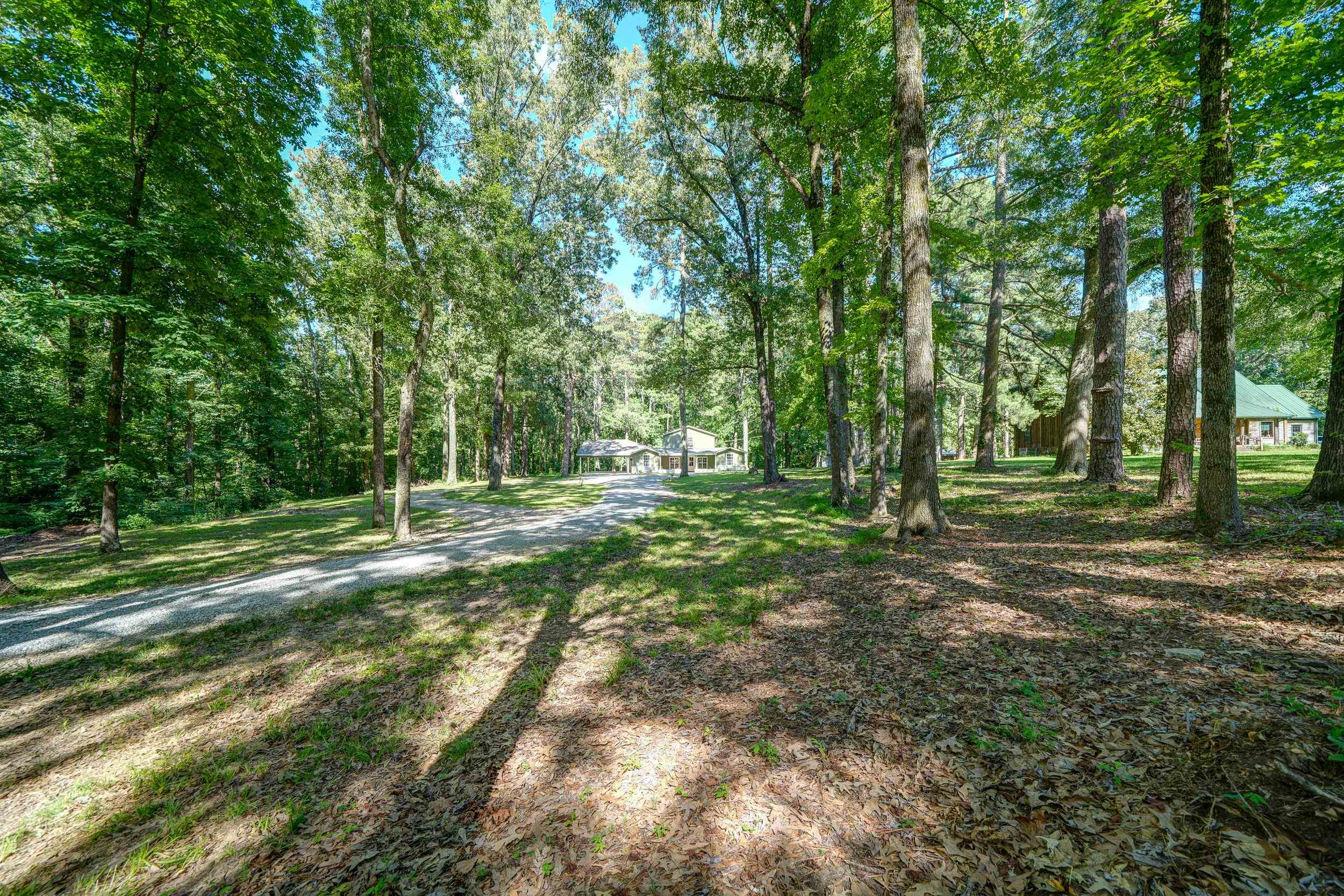 4630 Billy Maher Road Bartlett, TN 38135 - Photo 5 of 40 a view of outdoor space with trees all around