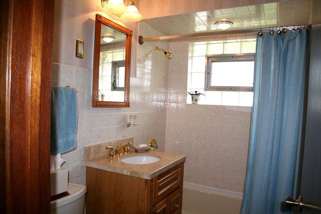 10728 Rutherford Avenue Worth, IL 60482 - Photo 14 of 25