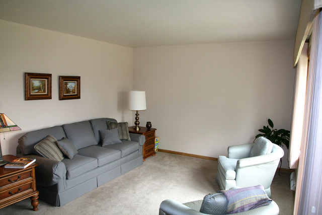 10728 Rutherford Avenue Worth, IL 60482 - Photo 2 of 25
