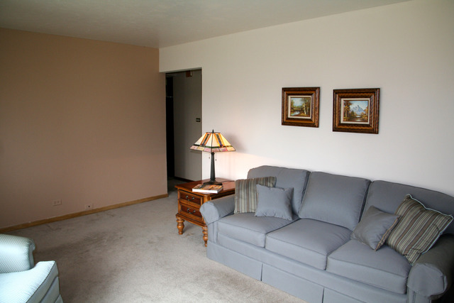 10728 Rutherford Avenue Worth, IL 60482 - Photo 3 of 25