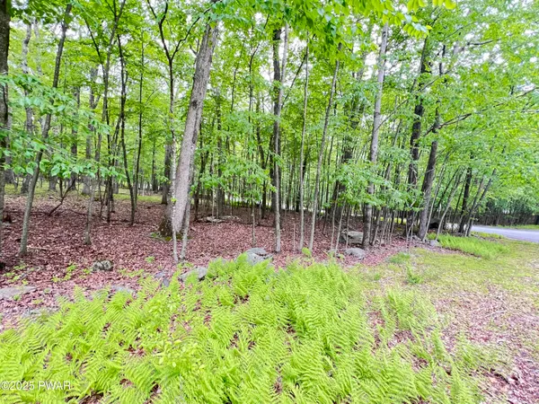 $30,000 | 105 Duffys Drive, Dingmans Ferry, PA 18328