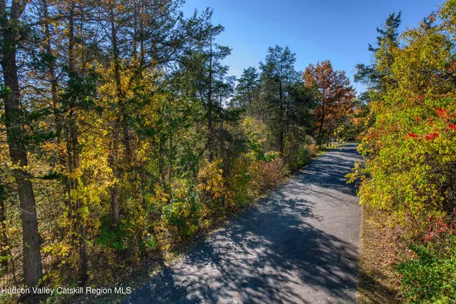 a view of a yard with plants and trees
