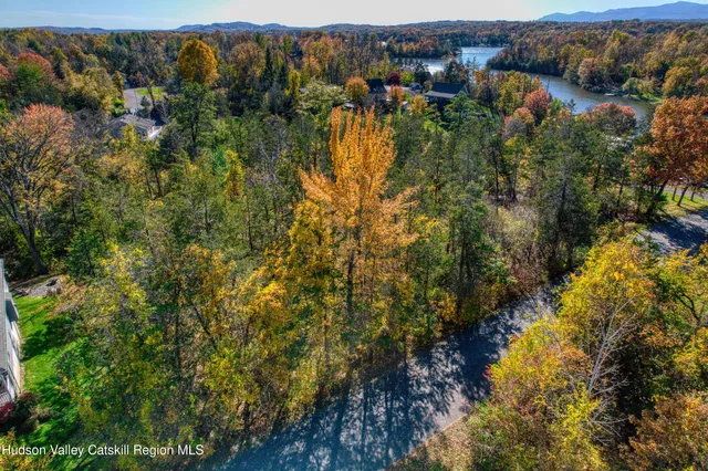a view of a yard with plants and trees