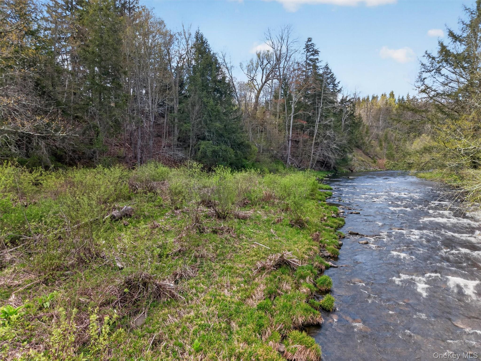 674 Debruce Road Livingston Manor, NY 12758 - Photo 33 of 34