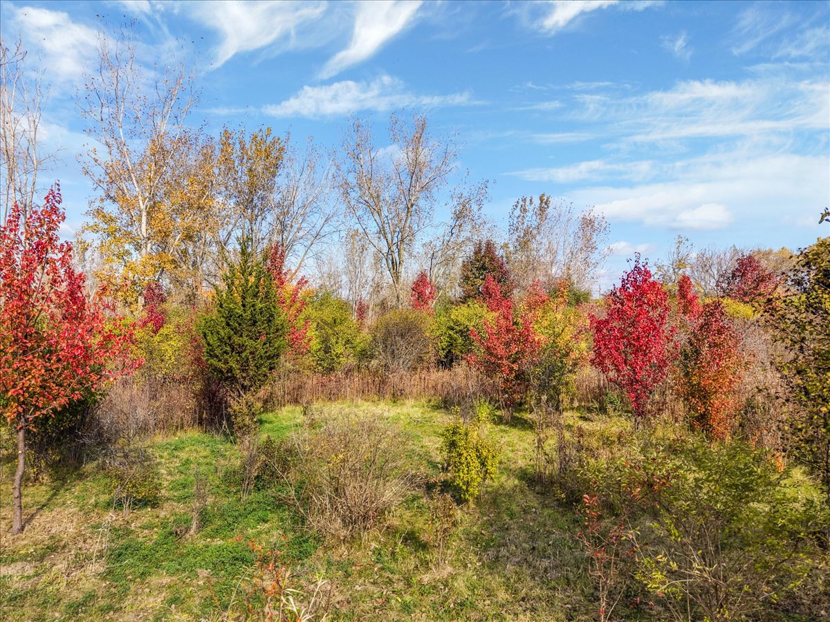 306 Algonquin Road South Barrington, IL 60010 - Photo 4 of 26