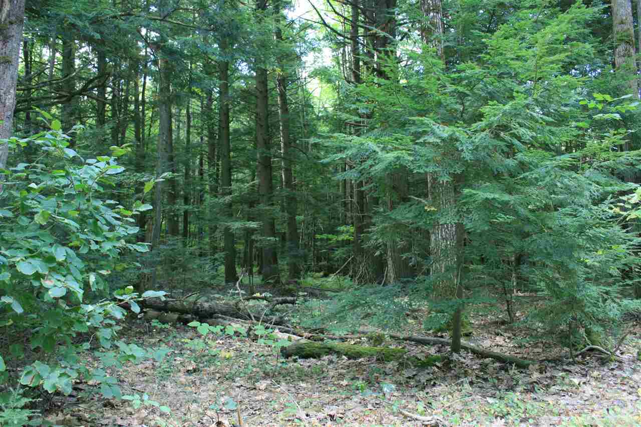 Raymond Road Auburn, NH 03032 - Photo 2 of 11