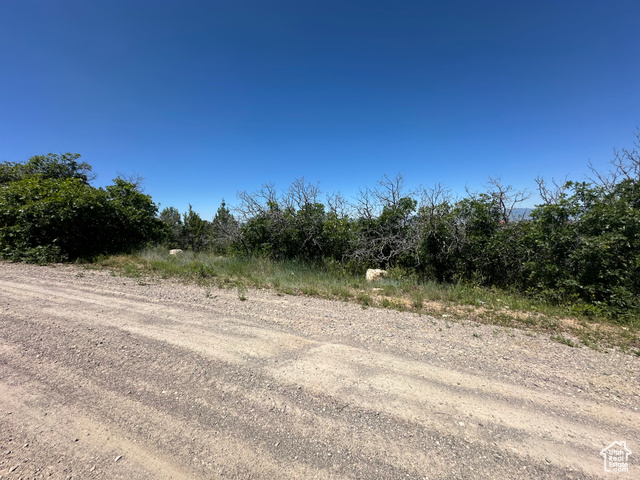 14050 Oak Rdg Circle, Unit 144 Mount Pleasant, UT 84647 - Photo 23 of 28 View of undeveloped land