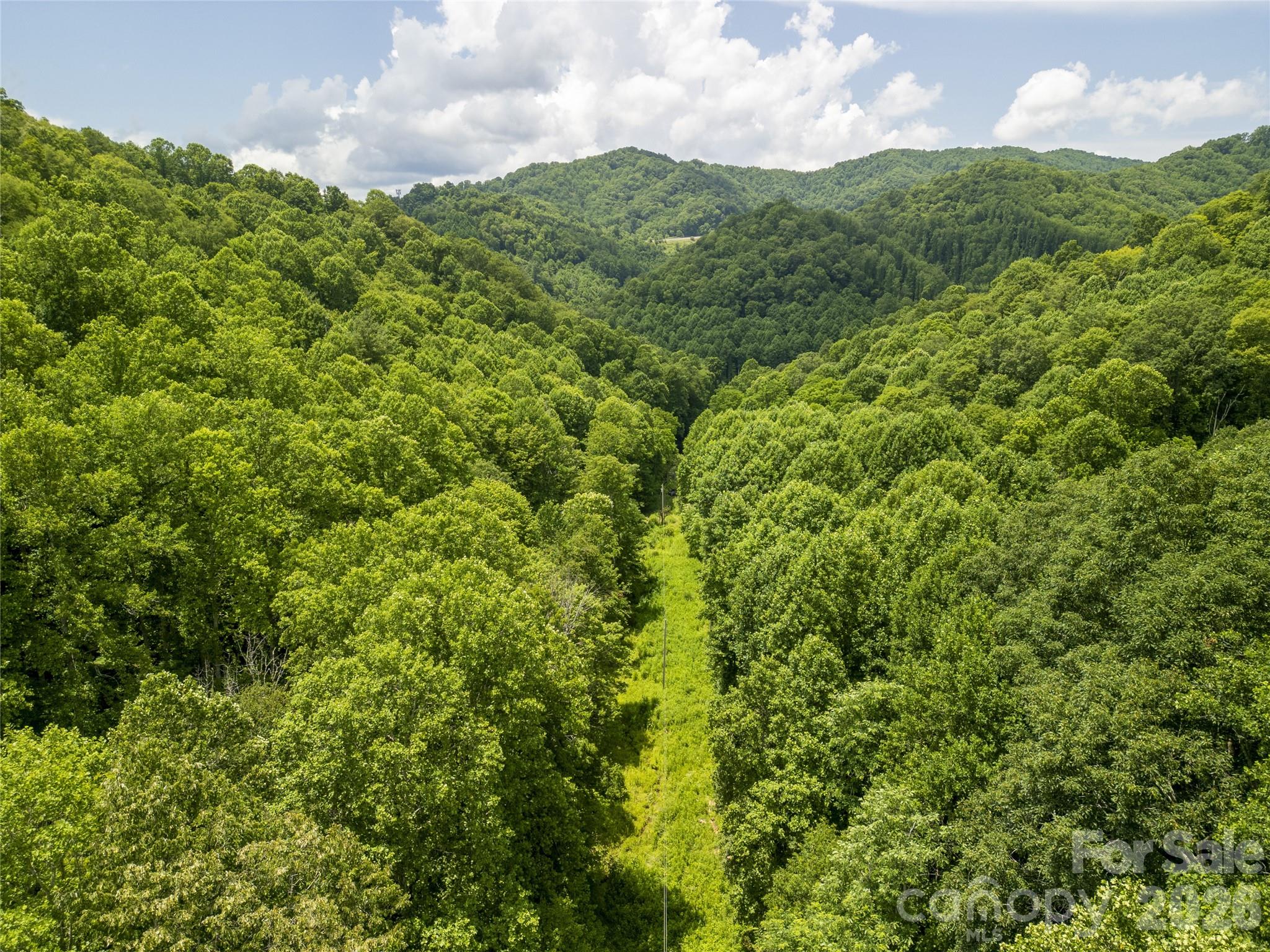 168 Smith Creek Road Mars Hill, NC 28754 - Photo 45 of 46