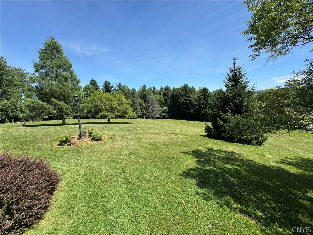 5155 Reservoir Road Eaton, NY 13408 - Photo 8 of 46 Gallery Image 8