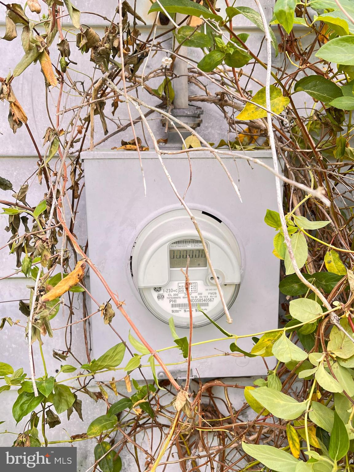 1217 Hudson Road Cambridge, MD 21613 - Photo 8 of 9 Electric meter