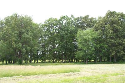 88888 Box Ankle Road Richmond, KY 40475 - Photo 11 of 14 Photo 11