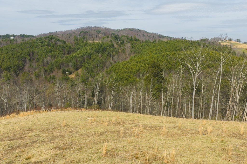 Tbd Carsonville Road Independence, VA 24348 - Photo 21 of 43 Gallery Image 21